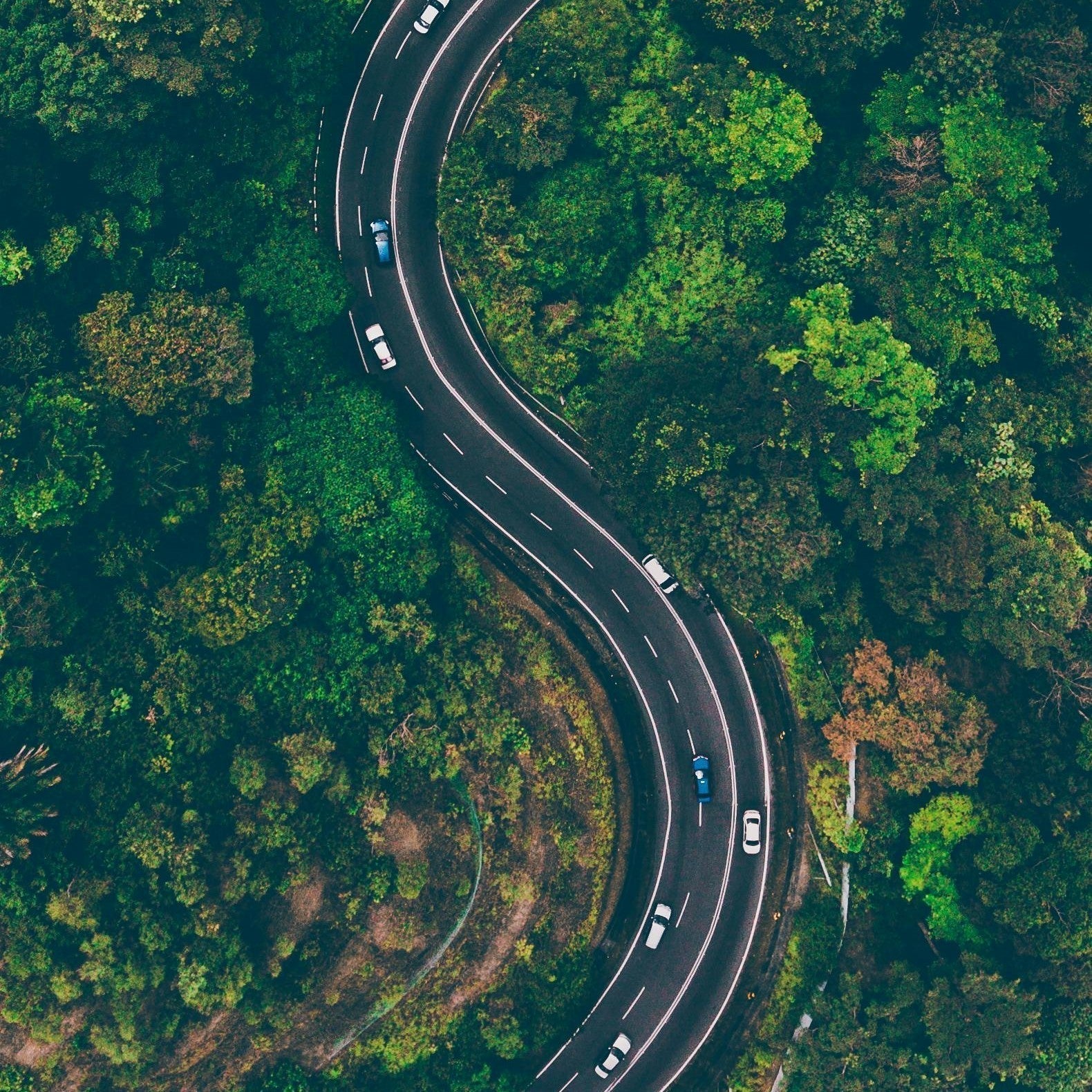 Road-trip éthique : comment rester vegan en déplacement